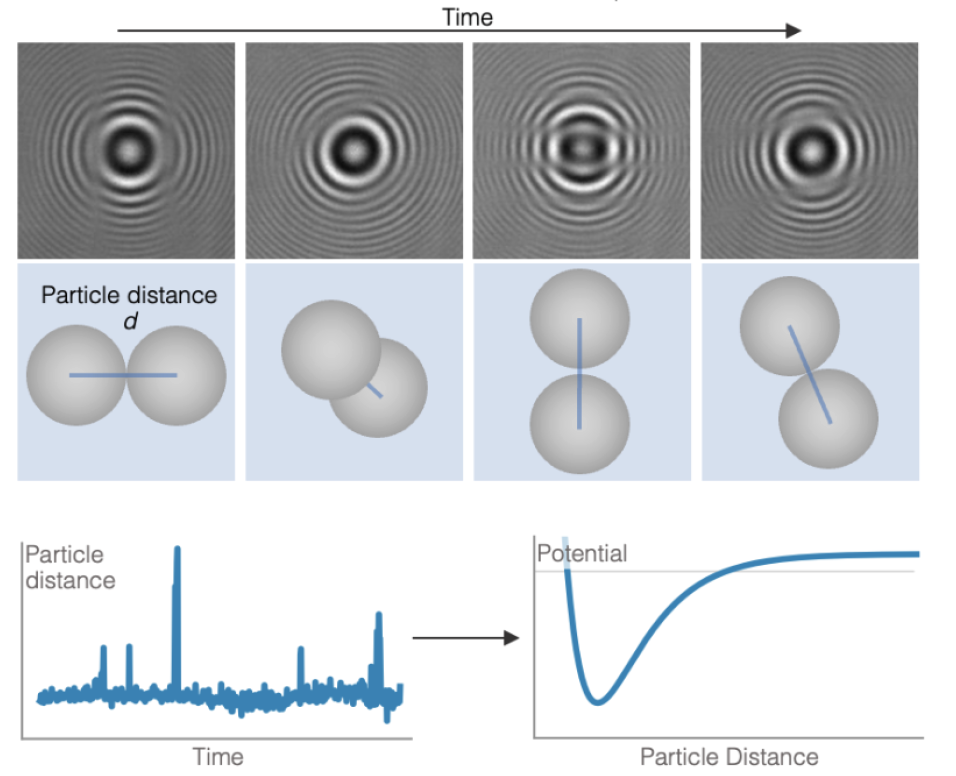 Holographic measurement of particle pair potentials